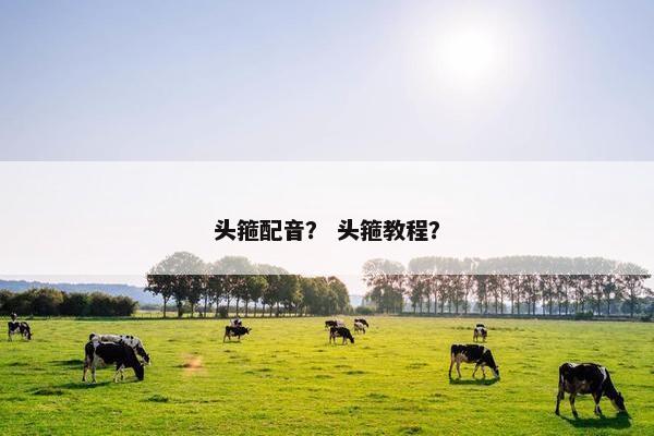 头箍配音？ 头箍教程？