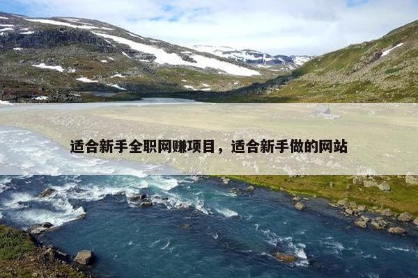 适合新手全职网赚项目,适合新手做的网站 适合新手全职网赚项目,适合新手做的网站