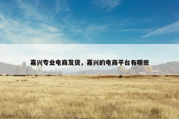 嘉兴专业电商发货，嘉兴的电商平台有哪些