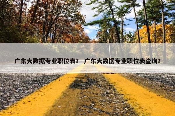 广东大数据专业职位表？ 广东大数据专业职位表查询？