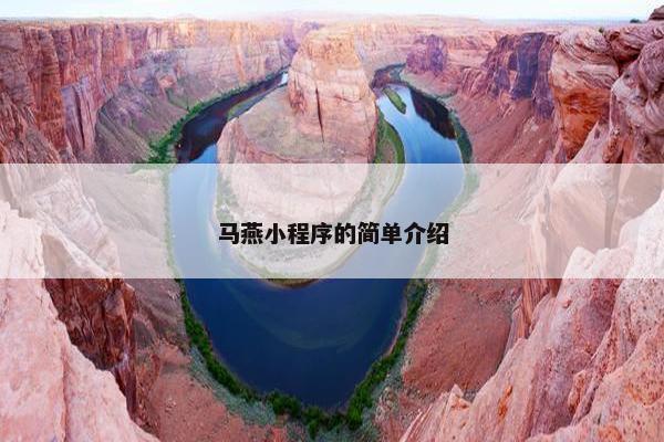 马燕小程序的简单介绍