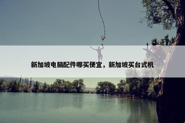 新加坡电脑配件哪买便宜，新加坡买台式机
