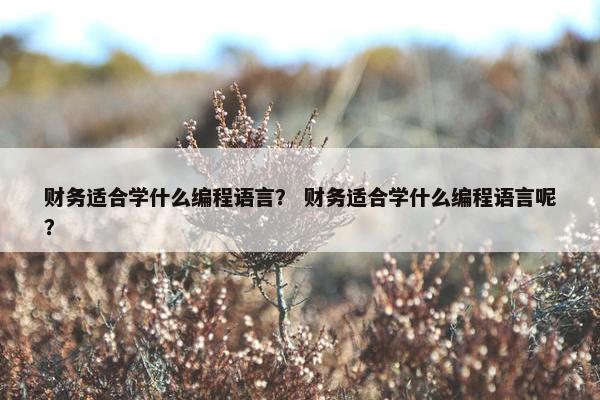 财务适合学什么编程语言? 财务适合学什么编程语言呢?