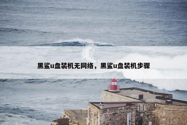 黑鲨u盘装机无网络,黑鲨u盘装机步骤 黑鲨u盘装机无网络,黑鲨u盘装机步骤