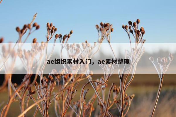 ae组织素材入门，ae素材整理