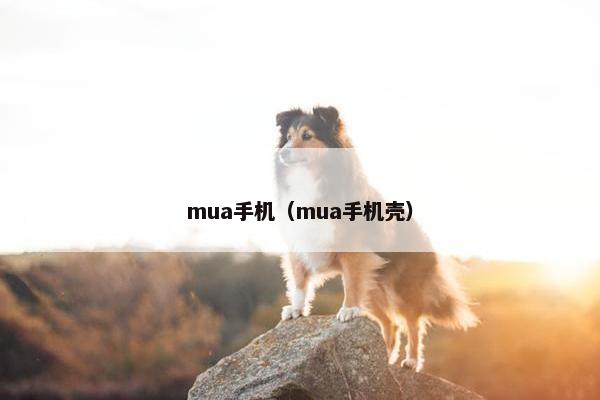 mua手机（mua手机壳）