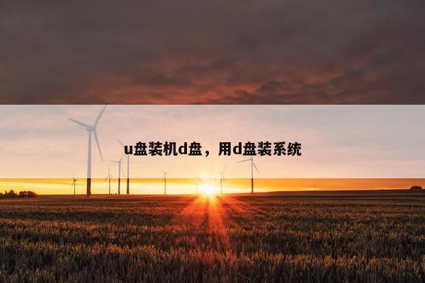 u盘装机d盘，用d盘装系统