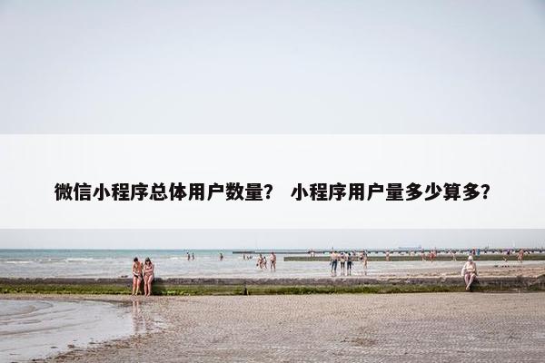 微信小程序总体用户数量？ 小程序用户量多少算多？