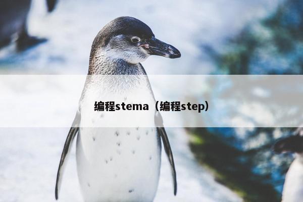 编程stema(编程step) 编程stema(编程step)