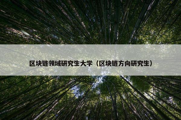 区块链领域研究生大学(区块链方向研究生)
