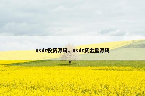 usdt投资源码，usdt资金盘源码