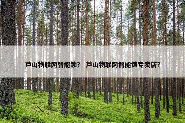 芦山物联网智能锁？ 芦山物联网智能锁专卖店？