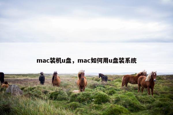 mac装机u盘，mac如何用u盘装系统