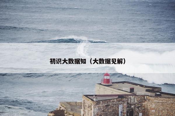 初识大数据知（大数据见解）