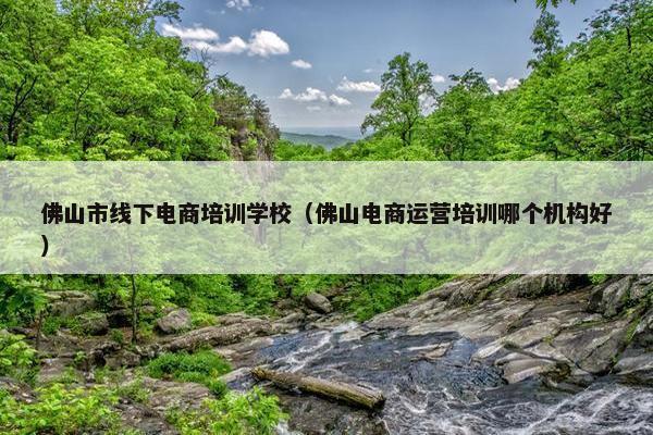 佛山市线下电商培训学校(佛山电商运营培训哪个机构好)