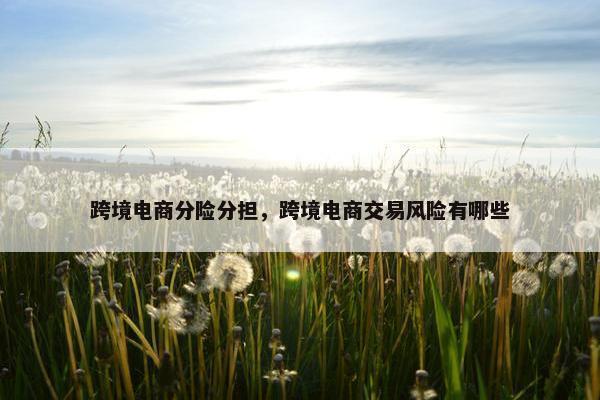 跨境电商分险分担,跨境电商交易风险有哪些 跨境电商分险分担,跨境电商交易风险有哪些