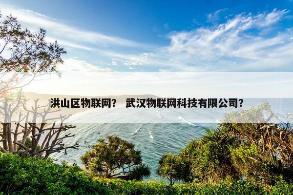 洪山区物联网? 武汉物联网科技有限公司? 洪山区物联网? 武汉物联网科技有限公司?