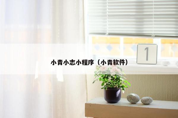小青小志小程序（小青软件）