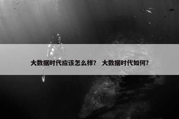 大数据时代应该怎么样？ 大数据时代如何？