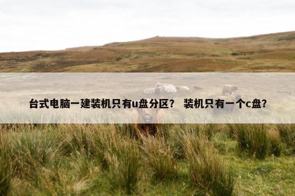 台式电脑一建装机只有u盘分区？ 装机只有一个c盘？