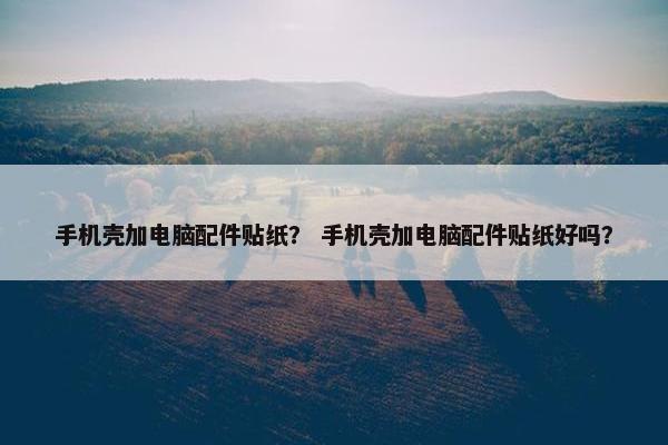 手机壳加电脑配件贴纸？ 手机壳加电脑配件贴纸好吗？