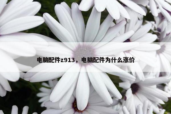 电脑配件z913，电脑配件为什么涨价