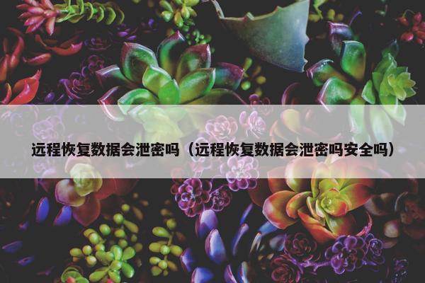 远程恢复数据会泄密吗(远程恢复数据会泄密吗安全吗)