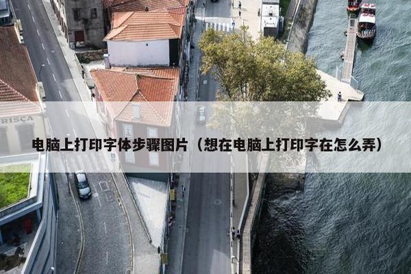 电脑上打印字体步骤图片（想在电脑上打印字在怎么弄）