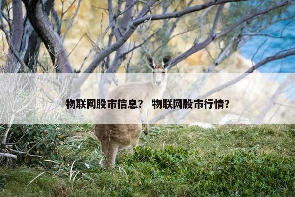 物联网股市信息？ 物联网股市行情？