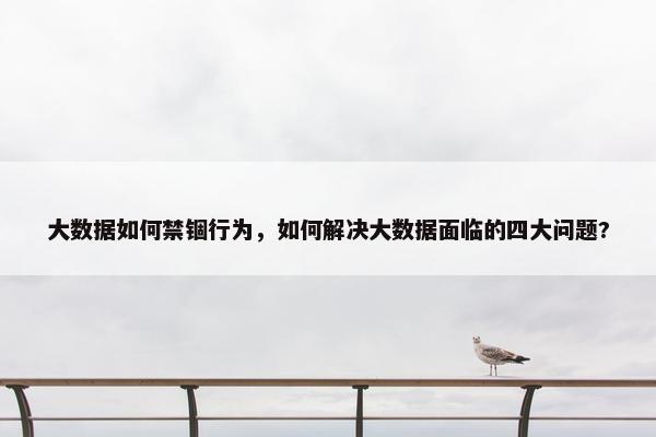 大数据如何禁锢行为，如何解决大数据面临的四大问题?