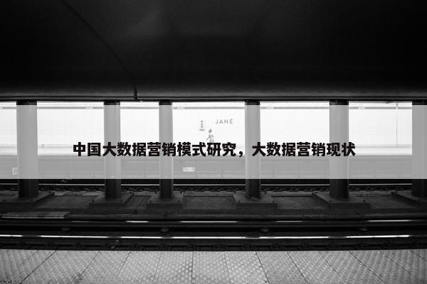 中国大数据营销模式研究,大数据营销现状 中国大数据营销模式研究,大数据营销现状