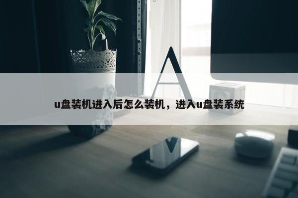 u盘装机进入后怎么装机，进入u盘装系统