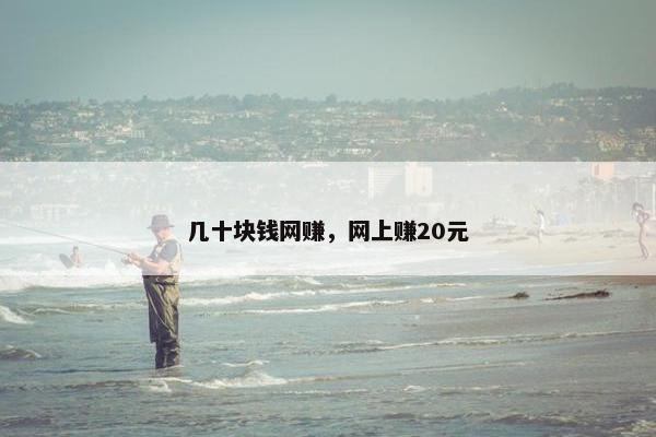 几十块钱网赚，网上赚20元