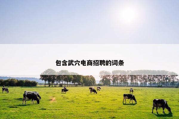 包含武穴电商招聘的词条