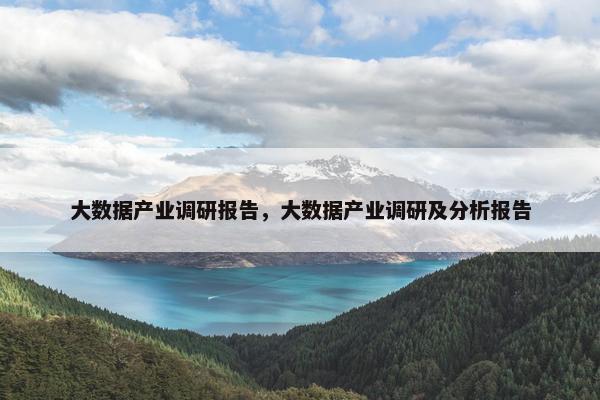 大数据产业调研报告，大数据产业调研及分析报告
