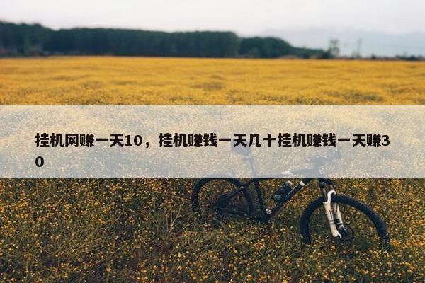 挂机网赚一天10，挂机赚钱一天几十挂机赚钱一天赚30