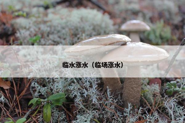 临水涨水（临场涨水）