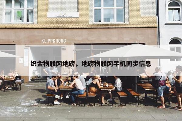 织金物联网地磅，地磅物联网手机同步信息