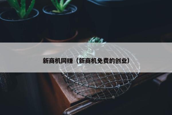 新商机网赚（新商机免费的创业）