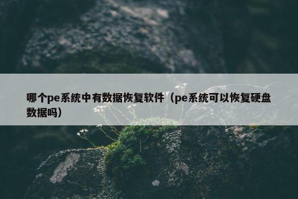 哪个pe系统中有数据恢复软件（pe系统可以恢复硬盘数据吗）