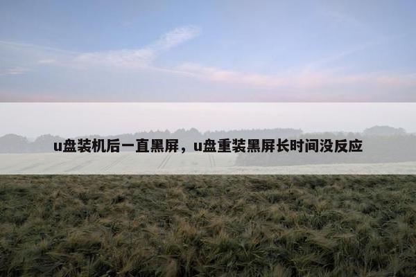 u盘装机后一直黑屏，u盘重装黑屏长时间没反应