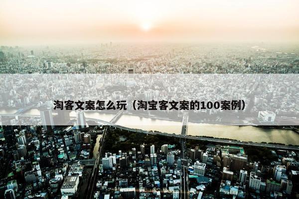 淘客文案怎么玩（淘宝客文案的100案例）