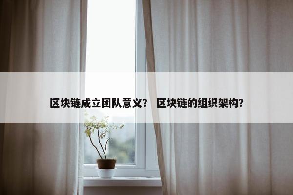 区块链成立团队意义？ 区块链的组织架构？