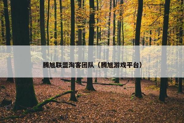 腾旭联盟淘客团队（腾旭游戏平台）