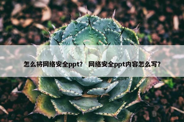 怎么将网络安全ppt？ 网络安全ppt内容怎么写？