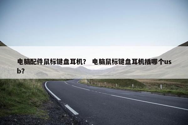电脑配件鼠标键盘耳机？ 电脑鼠标键盘耳机插哪个usb？