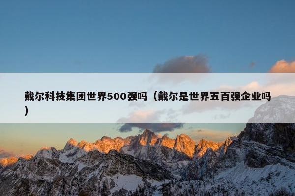 戴尔科技集团世界500强吗（戴尔是世界五百强企业吗）