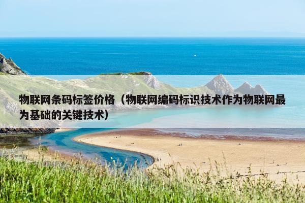 物联网条码标签价格(物联网编码标识技术作为物联网最为基础的关键技术) 物联网条码标签价格(物联网编码标识技术作为物联网最为基础的关键技术)