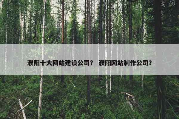 濮阳十大网站建设公司？ 濮阳网站制作公司？