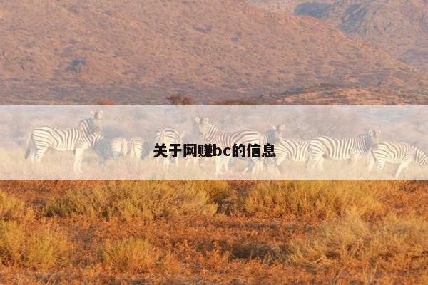 关于网赚bc的信息